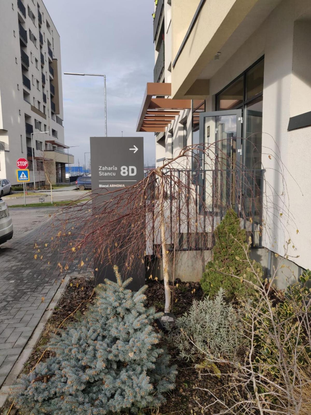 Apartament Coresi *